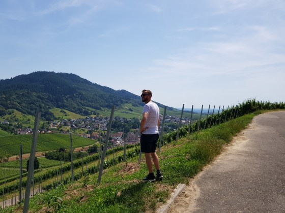 645d2c2b-07d1-4256-972f-6dc965bcc600