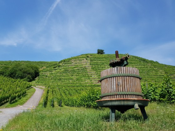 de3a70b8-fbc3-407e-a815-896b5a4c99a4